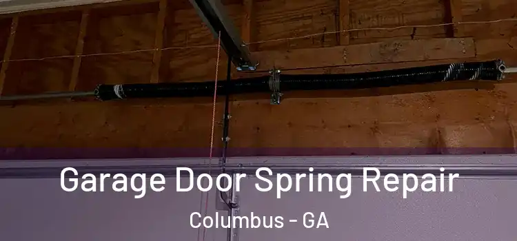  Garage Door Spring Repair Columbus - GA