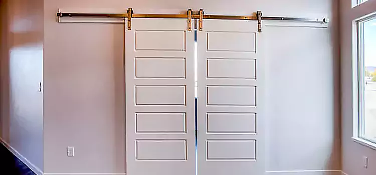 Glass Barn Door with Installation Hardware Kit Columbus